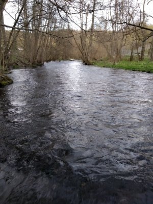 IMG_20230422_191042.jpg IMG_20230422_191042.jpg