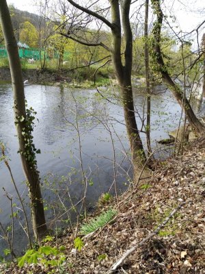 IMG_20230422_165431.jpg IMG_20230422_165431.jpg