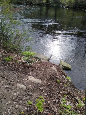 IMG_20230422_165423.jpg IMG_20230422_165423.jpg