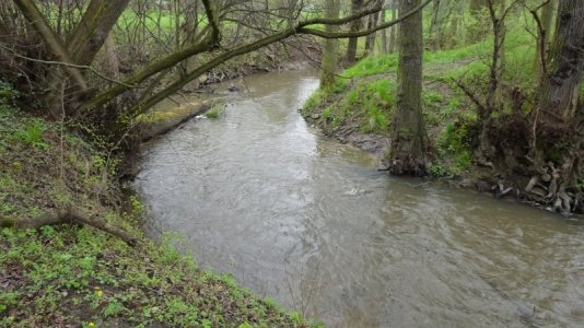 DSC00381.JPG DSC00381.JPG