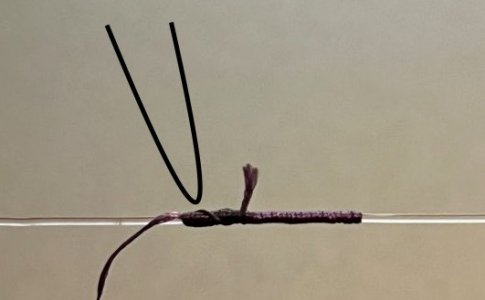 IMG-20230501-WA0000 2.jpg