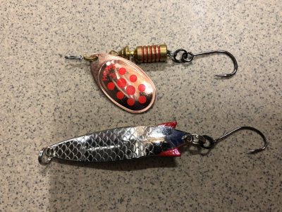 46FBC2BB-A779-4A21-BA7F-2C46B1556DC6.jpeg 46FBC2BB-A779-4A21-BA7F-2C46B1556DC6.jpeg