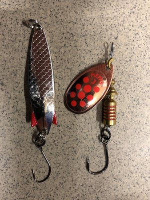 08F7D3DD-2627-4DE2-8849-5A21F6C52AFD.jpeg 08F7D3DD-2627-4DE2-8849-5A21F6C52AFD.jpeg