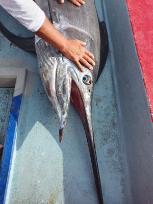 20230429_162052.jpg 20230429_162052.jpg