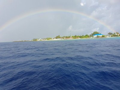 20230429_162401.jpg 20230429_162401.jpg