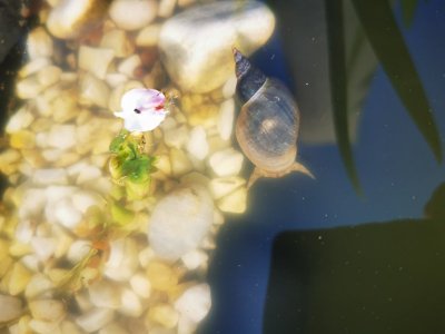 IMG_20230506_182058.jpg IMG_20230506_182058.jpg