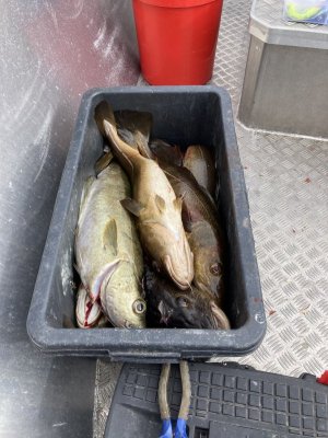 IMG_9856.jpeg