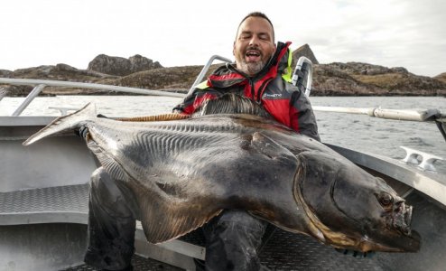 P3920296.jpg P3920296.jpg