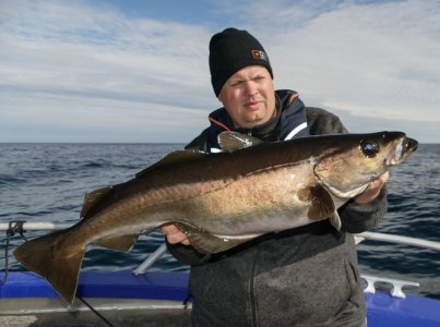 JanniPollack1.jpg JanniPollack1.jpg