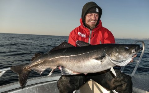 HauiSei1.jpg HauiSei1.jpg