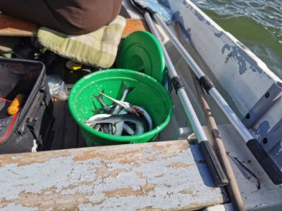 IMG-20230519-WA0004.jpg IMG-20230519-WA0004.jpg