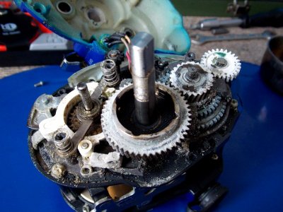 WFT Electra Pro 700 SC 018.JPG