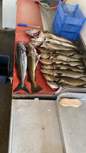 ALWW5024.JPG ALWW5024.JPG