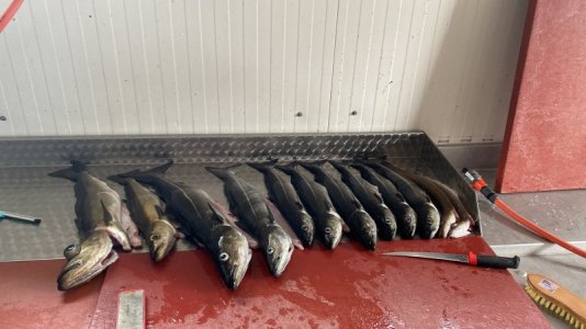 DRUD7381.JPG DRUD7381.JPG