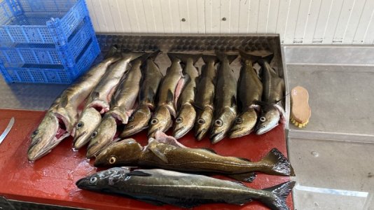 HDSK6811.JPG HDSK6811.JPG