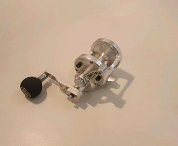 Avet Reels MXL 6-4_1.jpg