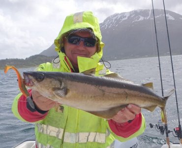 IMG-20230526-WA0041.jpg IMG-20230526-WA0041.jpg