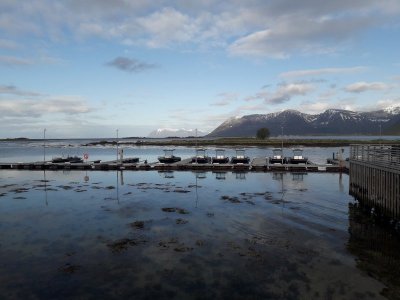 20230529_191318.jpg 20230529_191318.jpg