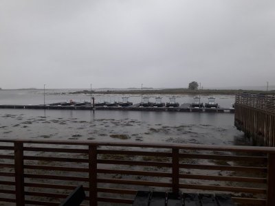 20230531_055318.jpg 20230531_055318.jpg