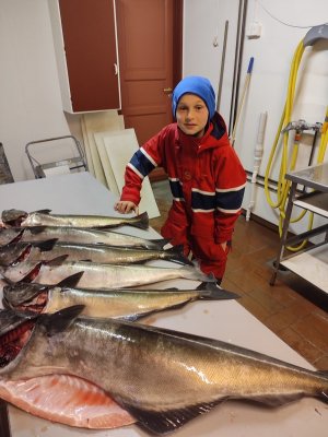 IMG_20230530_224553.jpg IMG_20230530_224553.jpg