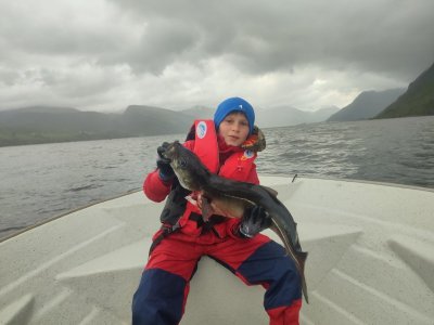 IMG_20230531_201545.jpg IMG_20230531_201545.jpg