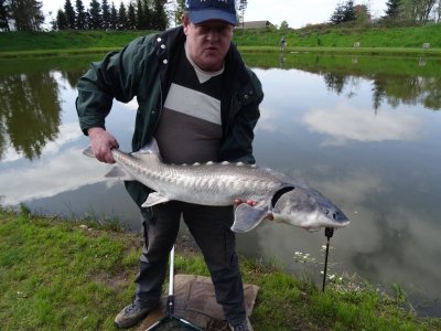 DSC01652.JPG DSC01652.JPG