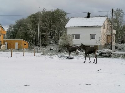 IMG-20230601-WA0049.jpg IMG-20230601-WA0049.jpg