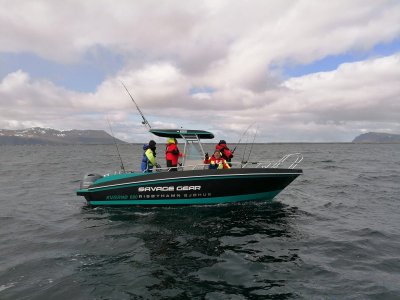 IMG-20230601-WA0020.jpg IMG-20230601-WA0020.jpg