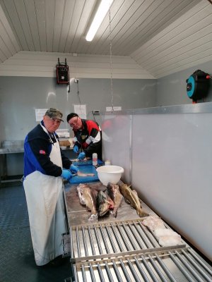 IMG-20230601-WA0022.jpg IMG-20230601-WA0022.jpg