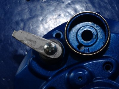 WFT Electra Heiko 014.JPG