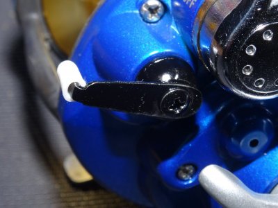 WFT Electra Heiko 027.JPG