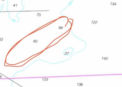 IMG_9968.jpeg IMG_9968.jpeg