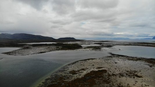 IMG-20230608-WA0056.jpg IMG-20230608-WA0056.jpg