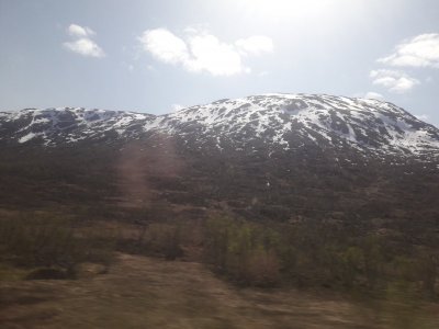 20230609_131437.jpg 20230609_131437.jpg