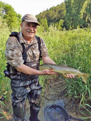 PB-Forelle 57 cm.jpg