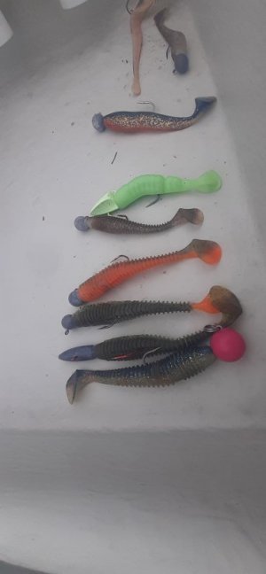 20230527_155504.jpg 20230527_155504.jpg