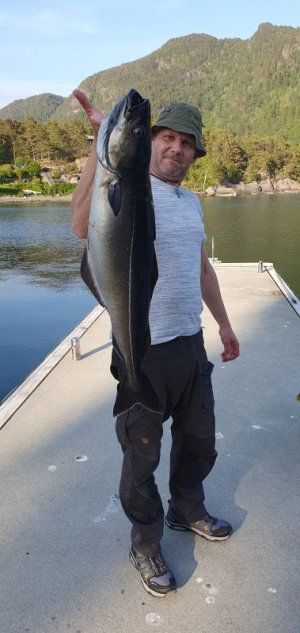 20230610_200502.jpg 20230610_200502.jpg