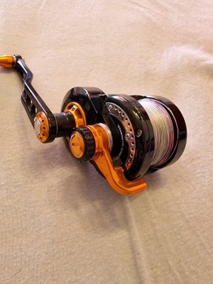 20230612_125214.jpg
