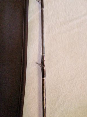 20230612_125728.jpg