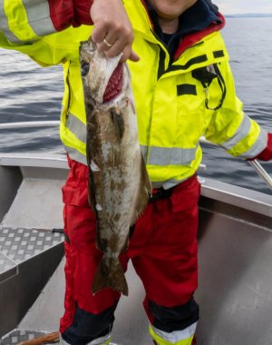 DSC01219.jpg DSC01219.jpg