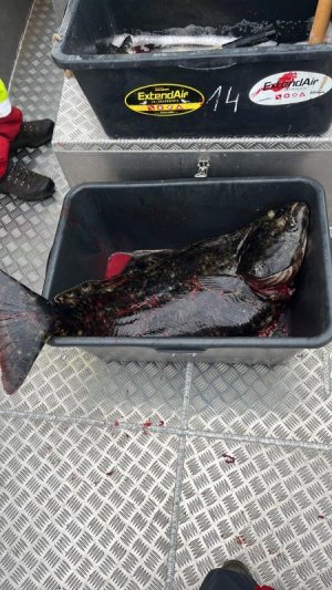 IMG-20230611-WA0002.jpg IMG-20230611-WA0002.jpg