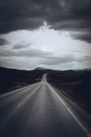 DSC01155.jpg DSC01155.jpg