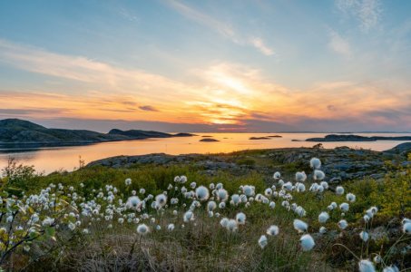 DSC01213 (1).jpg DSC01213 (1).jpg