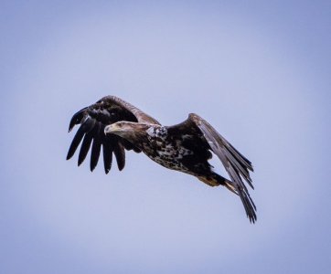 DSC01278.jpg DSC01278.jpg