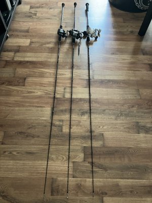 IMG_4211.jpeg IMG_4211.jpeg