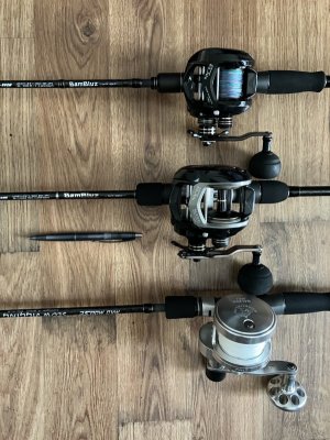 IMG_4212.jpeg IMG_4212.jpeg