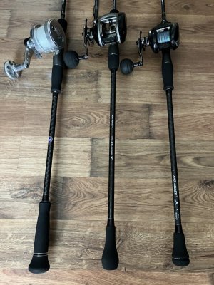 IMG_4213.jpeg IMG_4213.jpeg