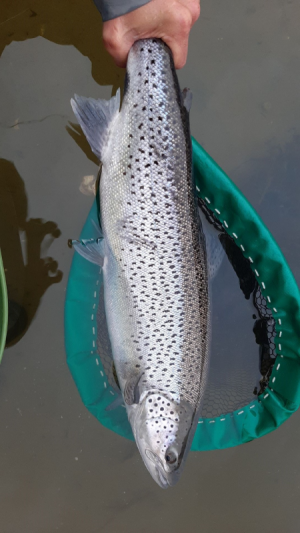 IMG_6692.png IMG_6692.png