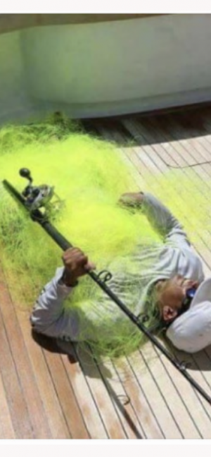 IMG_3825.png IMG_3825.png