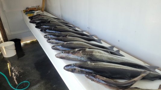 20230613_144456.jpg 20230613_144456.jpg